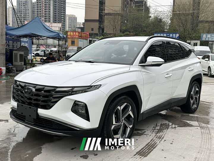 Denza L 1.5T DCT LUXPremium Edition