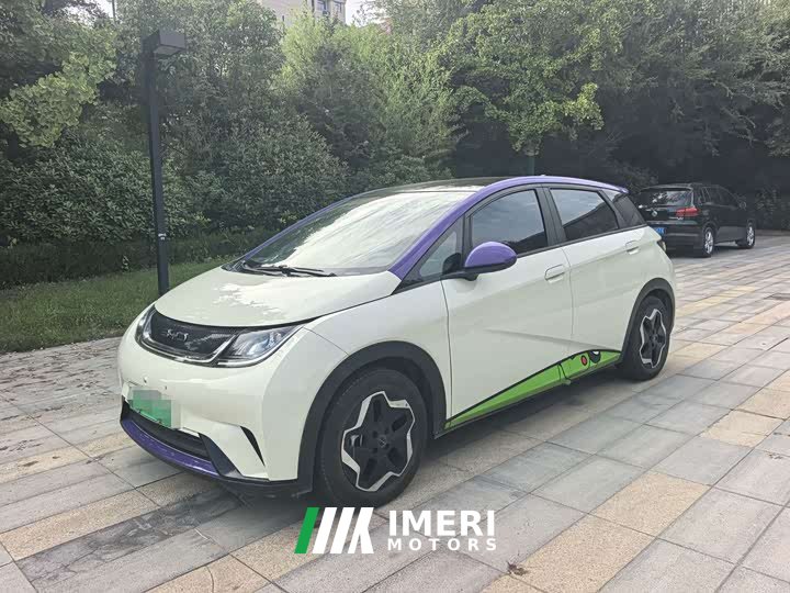 BYD 405km Fashion Edition