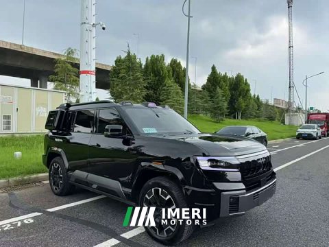 2025 8 Flagship Edition 7 - ავტომობილი ჩინეთიდან