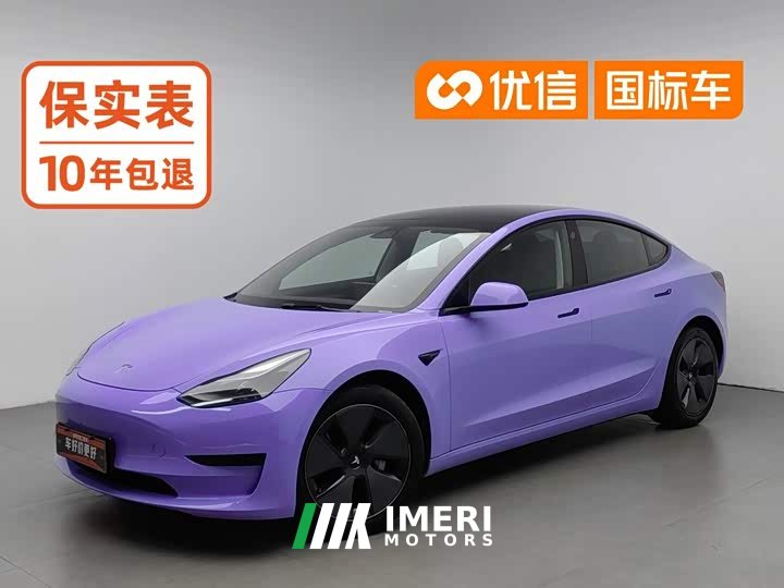 Tesla Model 3 Standard Range Edition 3D1