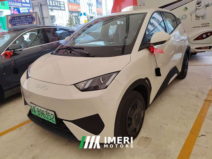 BYD Smart Drive Edition 305km Edition