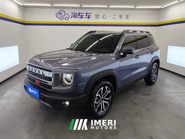 Haval Big Dog 1.5T DCT Border Collie Edition