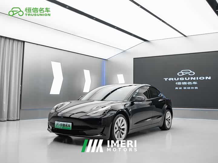 Tesla Model 3 Standard Range Edition 3D1