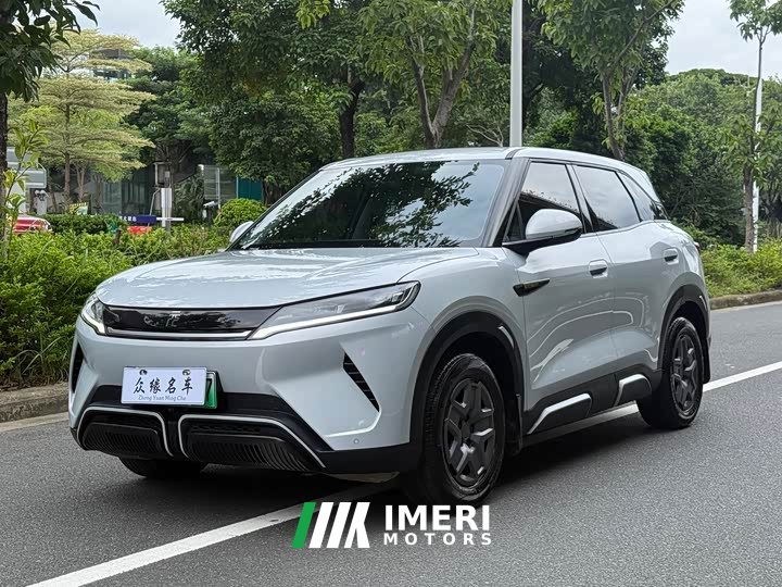 BYD UP Smart Drive Edition 401KM Edition