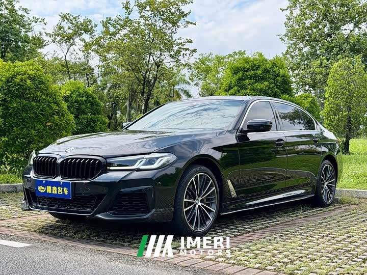BMW 5 530Li Version M