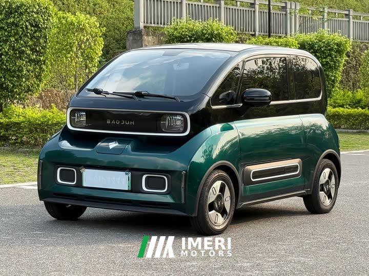 BYD KiWi EV Edition