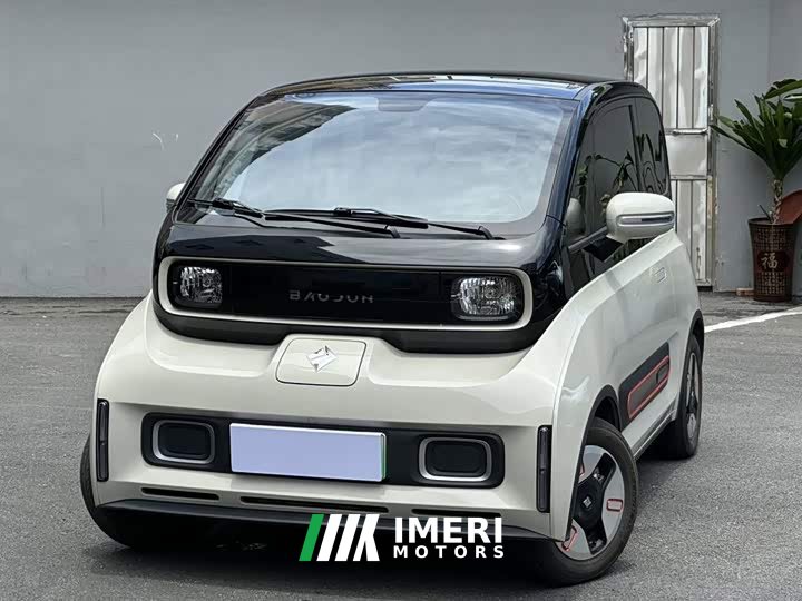 BYD KiWi EV Edition