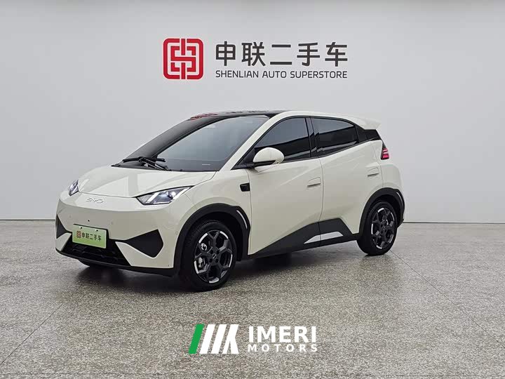BYD Smart Drive Edition 305km Edition
