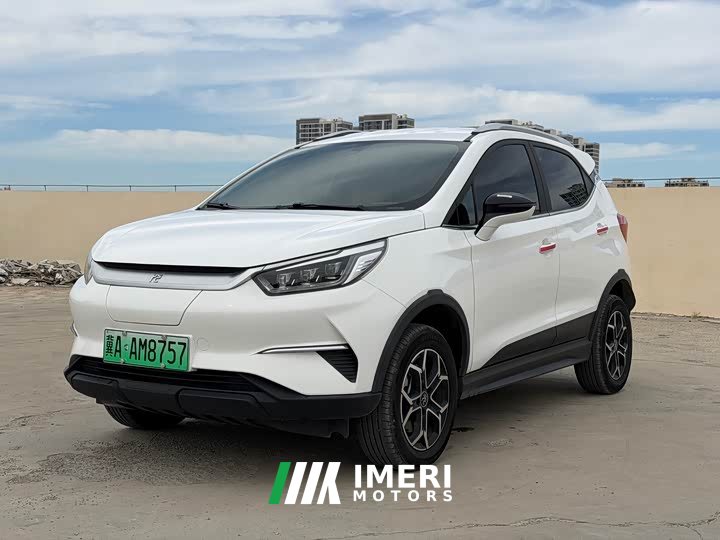 BYD Pro 401KM Luxury Version