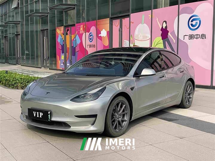 Tesla Model 3 Standard Range Edition 3D1