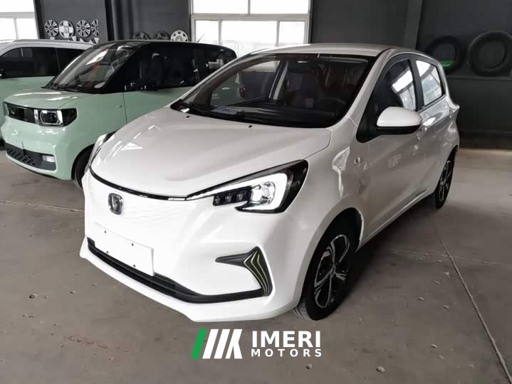 BYD E-Star Edition