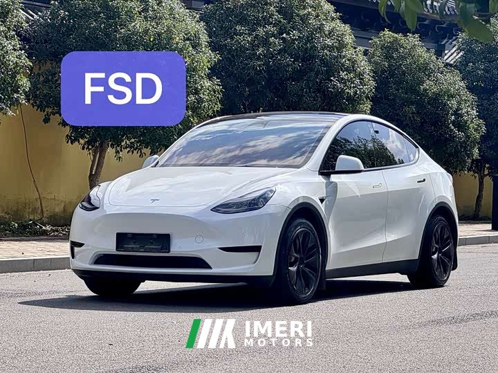Tesla Model Y Long Range Edition