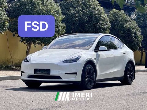 2024 Tesla Model Y Long Range Edition - ავტომობილი ჩინეთიდან