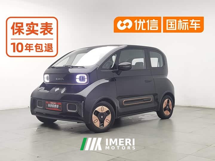 BYD KiWi EV