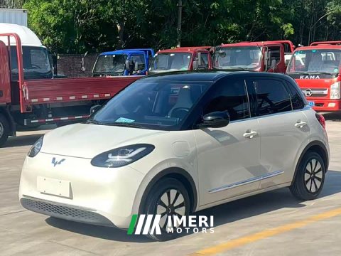 2023 Wuling 333km - ავტომობილი ჩინეთიდან