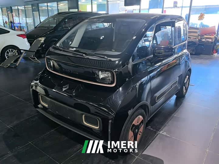 BYD KiWi EV Edition