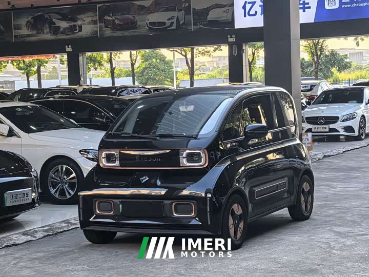 BYD KiWi EV Edition