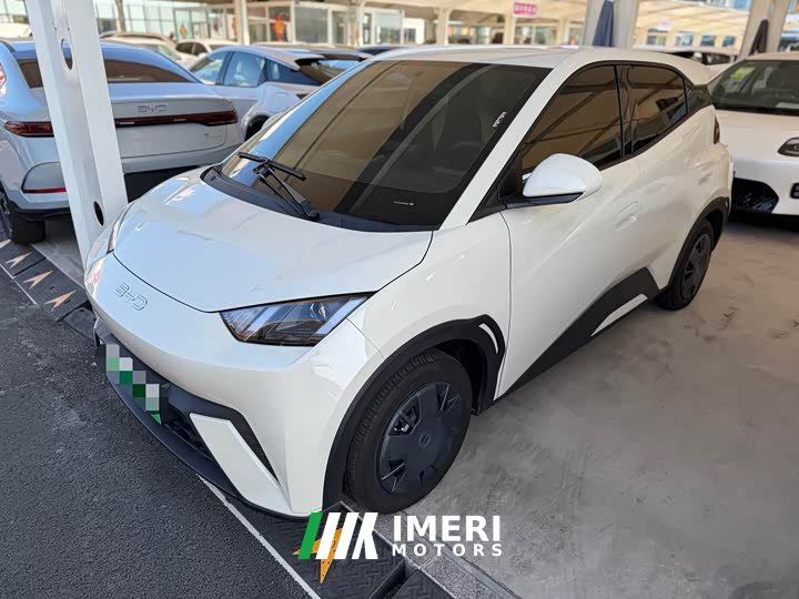 BYD 305km Edition