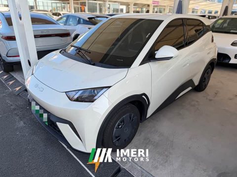 2025 BYD 305km Edition - ავტომობილი ჩინეთიდან