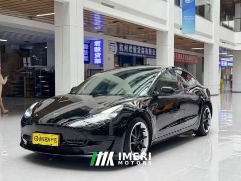 2022 Tesla Model 3 Edition - ავტომობილი ჩინეთიდან