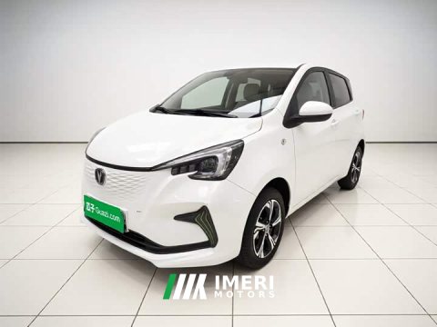 2021 BYD E-Star Edition - ავტომობილი ჩინეთიდან
