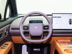 Li Auto i6 Two-Wheel Drive Standard - ფოტო 11