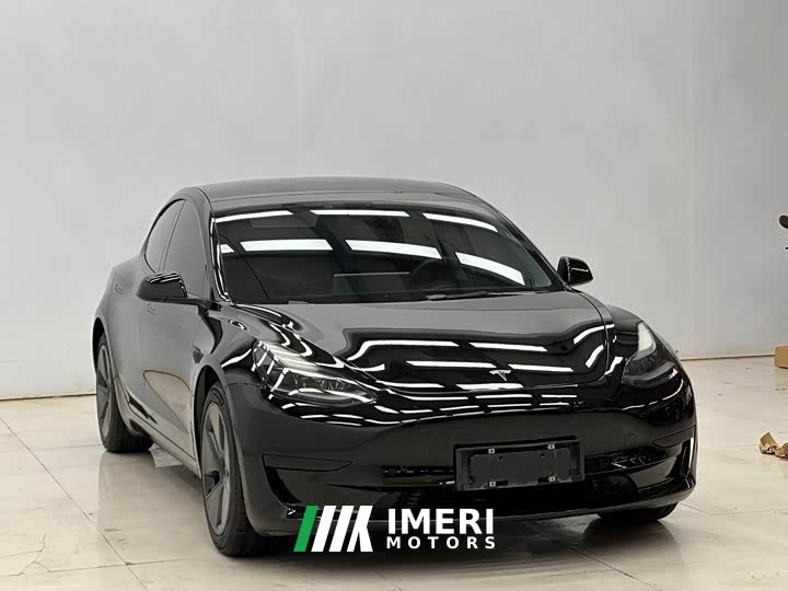 Tesla Model 3 Standard Range Edition 3D1