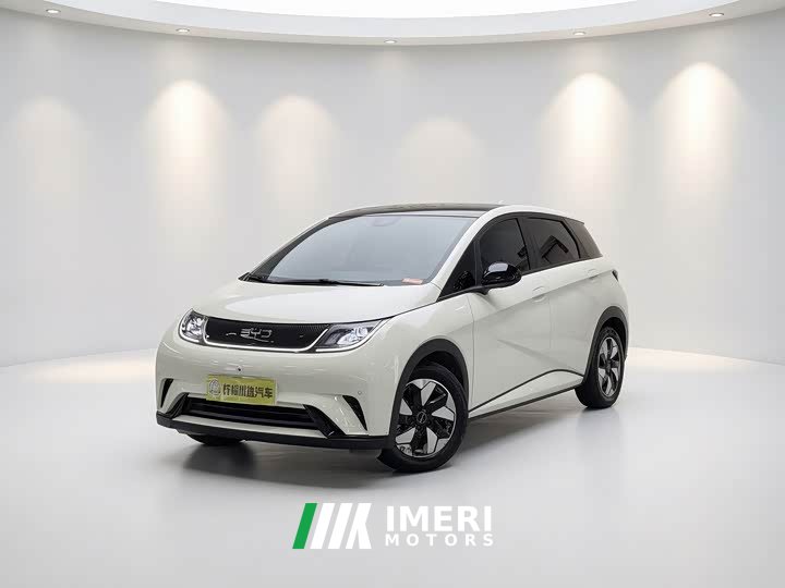 BYD Edition 420km Fashion Edition