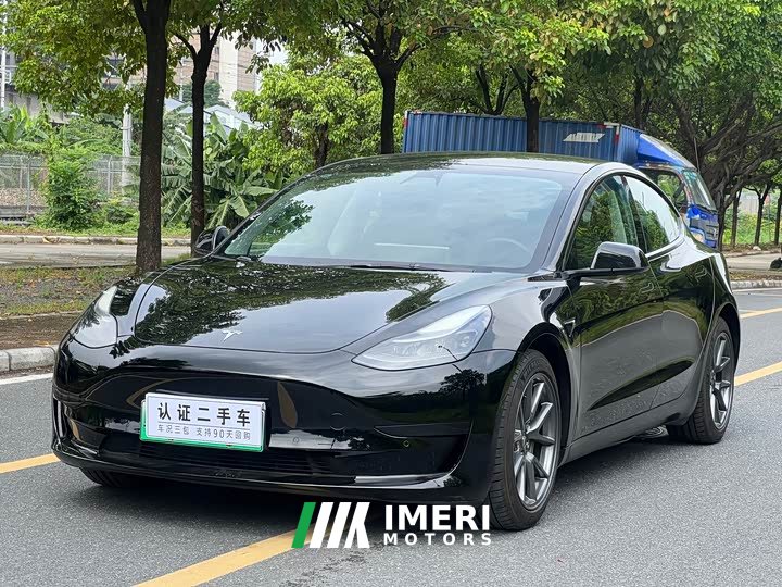 Tesla Model 3 Standard Range Edition 3D1