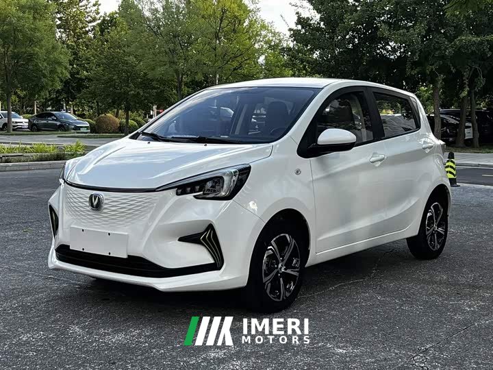 BYD E-Star Edition