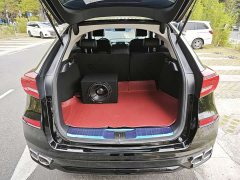 Tesla 370TURBO AWDDeluxe Edition - ფოტო 9