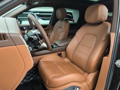 Porsche Cayenne E-Hybrid 2.0T - ფოტო 17