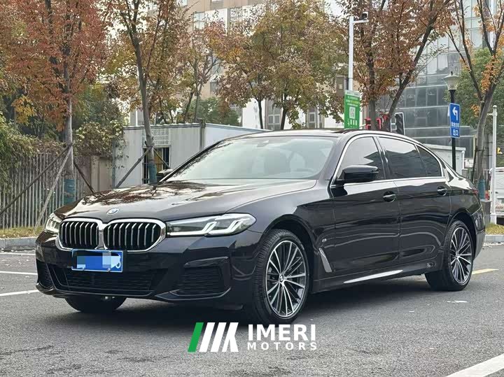 BMW 5 530Li Version M