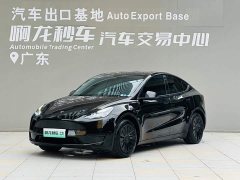 Tesla Model Y Edition - ფოტო 1