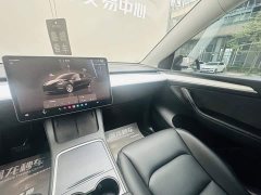 Tesla Model Y Edition - ფოტო 14