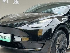 Tesla Model Y Edition - ფოტო 18