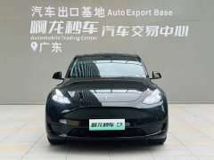 Tesla Model Y Edition - ფოტო 2