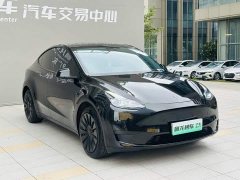 Tesla Model Y Edition - ფოტო 3
