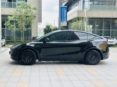 Tesla Model Y Edition - ფოტო 4