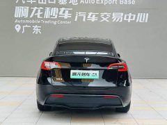 Tesla Model Y Edition - ფოტო 5