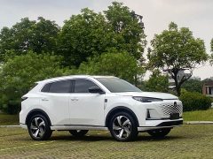 Changan CS55PLUS 1.5T DCTPremium Version - ფოტო 3