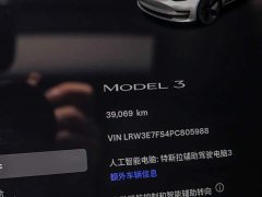 Tesla Model 3 Edition - ფოტო 16