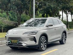 BYD PLUS Edition DM-i 71km Luxury Version - ფოტო 1