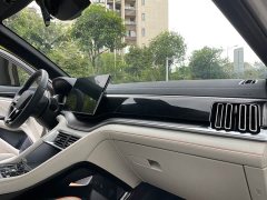 BYD PLUS Edition DM-i 71km Luxury Version - ფოტო 14