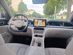 BYD 310km Edition - ფოტო 12