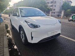 BYD 310km Edition - ფოტო 4