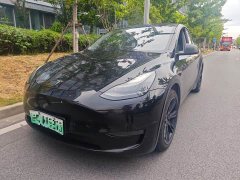 Tesla Model Y Edition - ფოტო 1