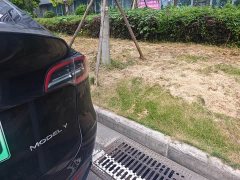 Tesla Model Y Edition - ფოტო 13