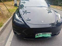 Tesla Model Y Edition - ფოტო 2