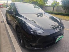 Tesla Model Y Edition - ფოტო 3